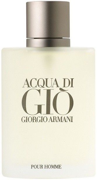 ARMANI ACQUA DI GIO POUR HOMME EDT FLES 100 ML