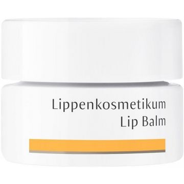 DR. HAUSCHKA LIP BALM LIPPENBALSEM POTJE 4,5 ML