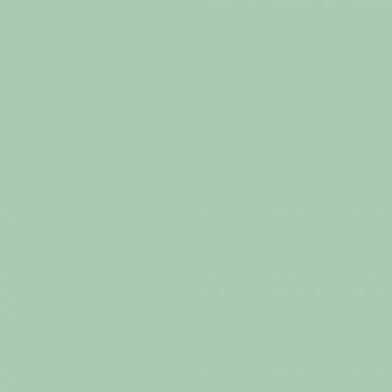 ESSIE 099 MINT CANDY APPLE NAGELLAK 13,5 ML