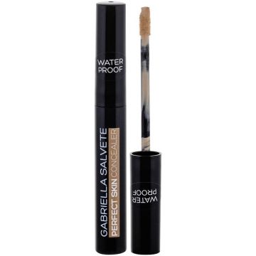 GABRIELLA SALVETE PERFECT SKIN (GABRIELLA SALVETE) PERFECT SKIN 01 CONCEALER 6,2 ML