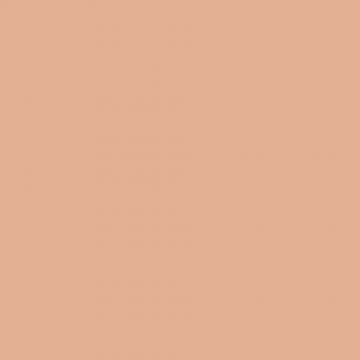 GABRIELLA SALVETE NUDE (GABRIELLA SALVETE) NUDE 03 NUDE SAND POWDER POEDER 8 GRAM