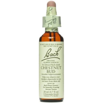BACH CHESTNUT BUD 20 ML