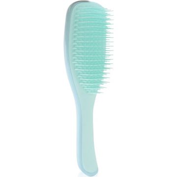 TANGLE TEEZER FINE & FRAGILE (TANGLE TEEZER) FINE & FRAGILE JADE LAGOON HAARBORSTEL 1 STUK