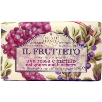 NESTI DANTE IL FRUTTETO (NESTI DANTE) IL FRUTTETO RED GRAPES AND BLUEBERRY ZEEP WIKKEL 250 GRAM