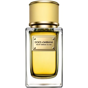 DOLCE & GABBANA VELVET MIMOSA BLOOM EDP 150 ML