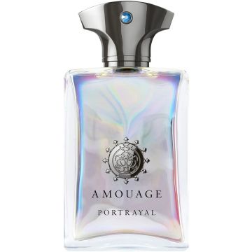 AMOUAGE PORTRAYAL MAN EDP FLES 100 ML