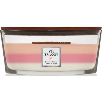 WOODWICK TRILOGY BLOOMING ORCHARD GEURKAARS POT 453,6 GRAM