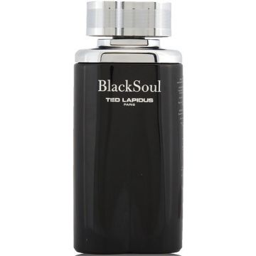 TED LAPIDUS BLACK SOUL (TED LAPIDUS) BLACK SOUL EDT FLES 100 ML
