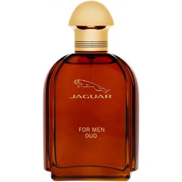 JAGUAR FOR MEN OUD EDP FLES 100 ML
