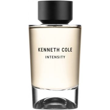KENNETH COLE INTENSITY EDT FLES 100 ML