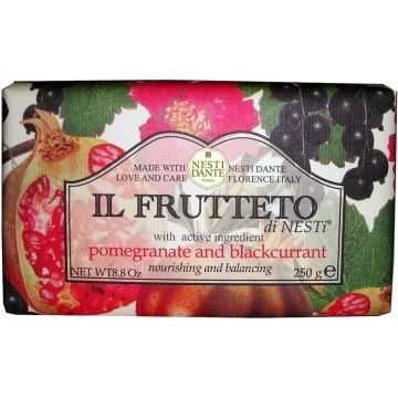 NESTI DANTE IL FRUTTETO (NESTI DANTE) IL FRUTTETO POMEGRANATE AND BLACKCURRANT ZEEP WIKKEL 250 GRAM