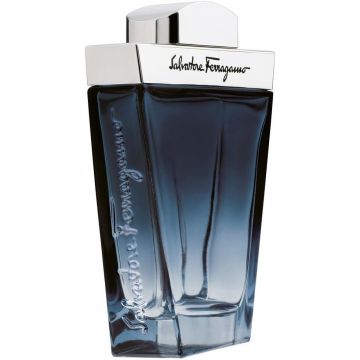 SALVATORE FERRAGAMO SUBTIL POUR HOMME (SALVATORE FERRAGAMO) SUBTIL POUR HOMME EDT FLES 100 ML