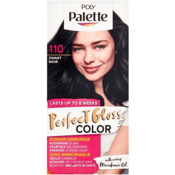 POLY PALETTE PERFECT GLOSS COLOR (POLY PALETTE) PERFECT GLOSS COLOR 110 ZWART HAARVERF PAK 1 STUK