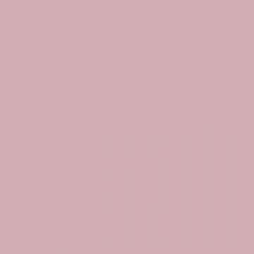 ESSIE 101 LADY LIKE NAGELLAK 13,5 ML
