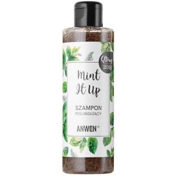 ANWEN MINT IT UP SHAMPOO FLACON 200 ML