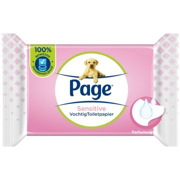 PAGE SENSITIVE VOCHTIG TOILETPAPIER PAK 38 STUKS