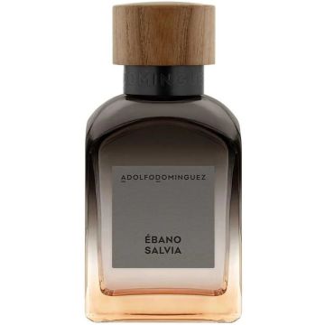 ADOLFO DOMINGUEZ EBANO SALVIA EDP FLES 120 ML