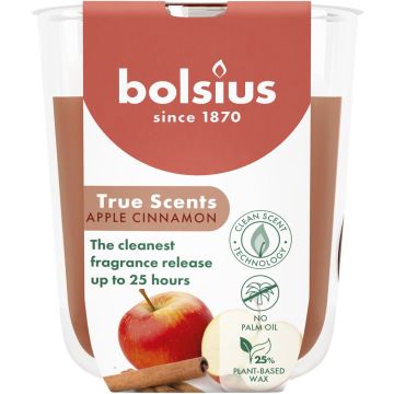 BOLSIUS TRUE SCENTS APPLE CINNAMON 80 X 73 MM GEURKAARS 1 STUK