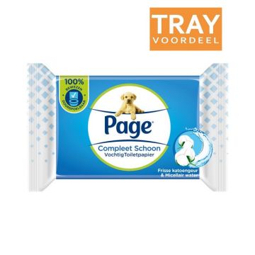 PAGE COMPLEET SCHOON VOCHTIG TOILETPAPIER TRAY 12 X 38 STUKS