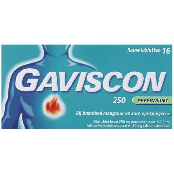 GAVISCON 250 MG PEPERMUNT KAUWTABLETTEN DOOSJE 16 STUKS