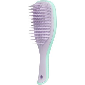 TANGLE TEEZER WET DETANGLER (TANGLE TEEZER) WET DETANGLER MINI WISTERIA LEAF HAARBORSTEL 1 STUK