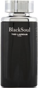 TED LAPIDUS BLACK SOUL EDT FLES 100 ML