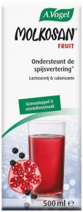 A. VOGEL MOLKOSAN FRUIT ONDERSTEUNT DE SPIJSVERTERING FLACON 500 ML