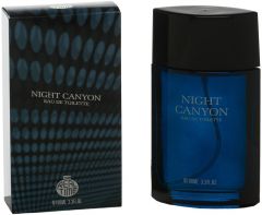 REAL TIME NIGHT CANYON EDT FLES 100 ML
