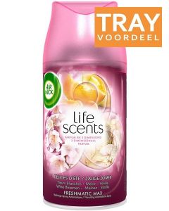 AIRWICK FRESHMATIC MAX LIFE SCENTS ZALIGE ZOMER LUCHTVERFRISSER (NAVULLING) TRAY 6 X 250 ML